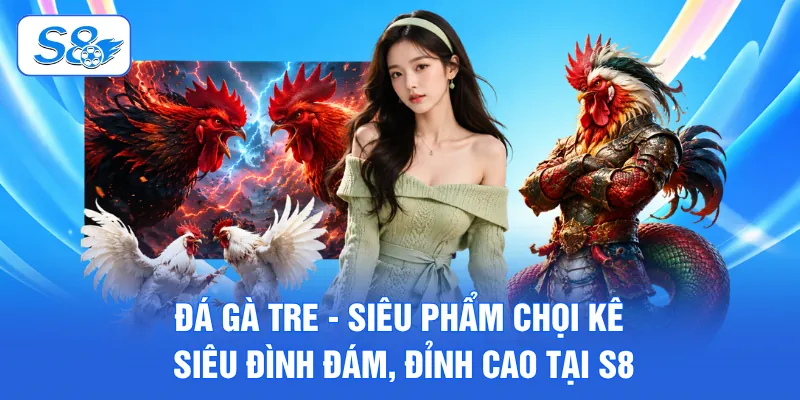 Đá Gà Tre - Siêu Phẩm Chọi Kê Siêu Đình Đám, Đỉnh Cao Tại S8 1 Đá gà tre