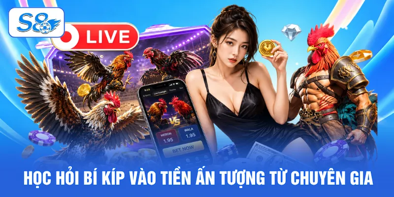 Học hỏi bí kíp vào tiền ấn tượng từ chuyên gia