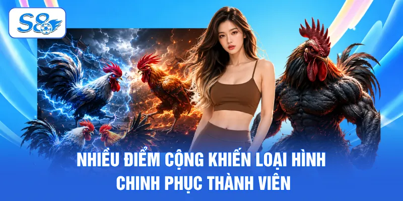 Đá Gà Tre - Siêu Phẩm Chọi Kê Siêu Đình Đám, Đỉnh Cao Tại S8 3 Nhiều điểm cộng khiến loại hình chinh phục thành viên