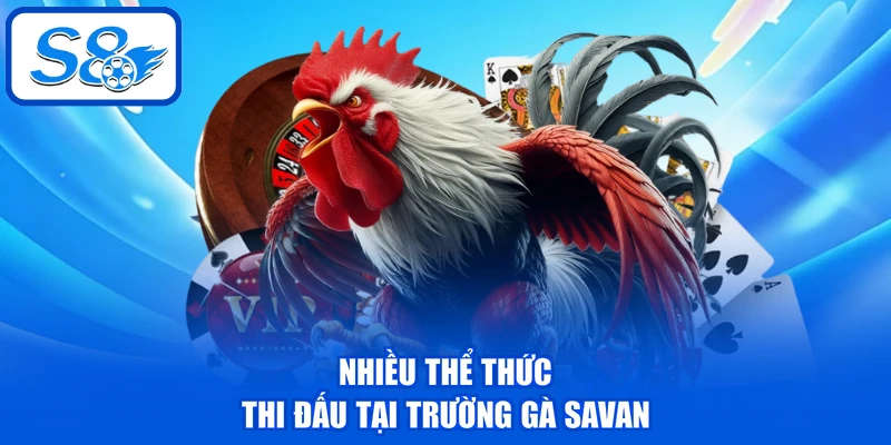 Nhiều thể thức thi đấu tại trường gà Savan