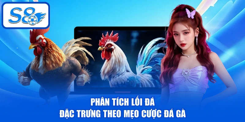 Phân tích lối đá đặc trưng theo mẹo cược đá gà