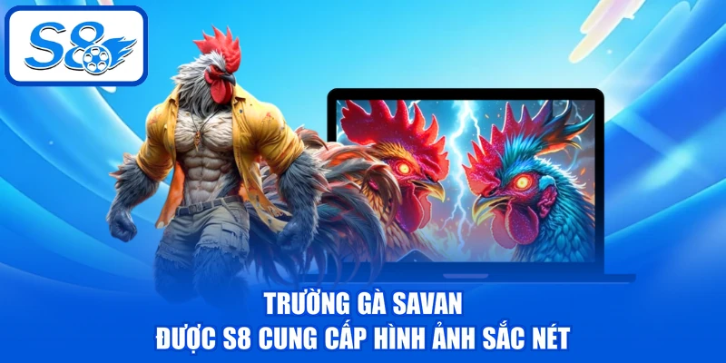 Trường gà Savan được S8 cung cấp hình ảnh sắc nét