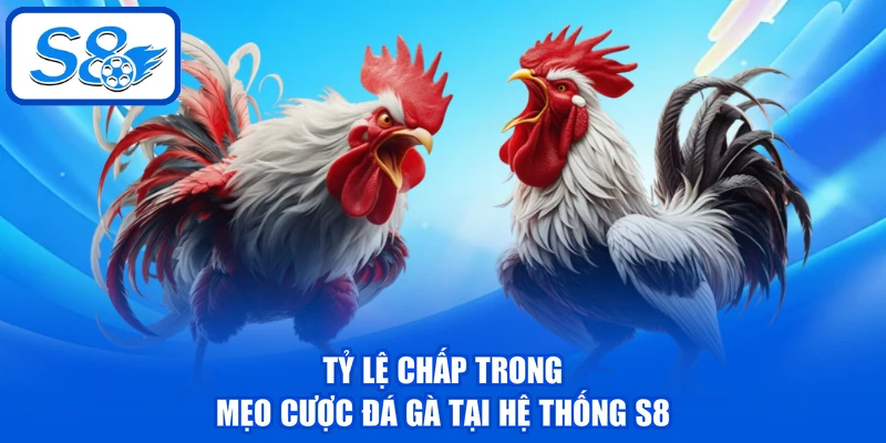Tỷ lệ chấp trong mẹo cược đá gà tại hệ thống S8